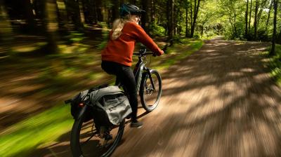 Trek Powerfly+ 6 EU L 29 Sunburst/Dark Star Produktbild 10