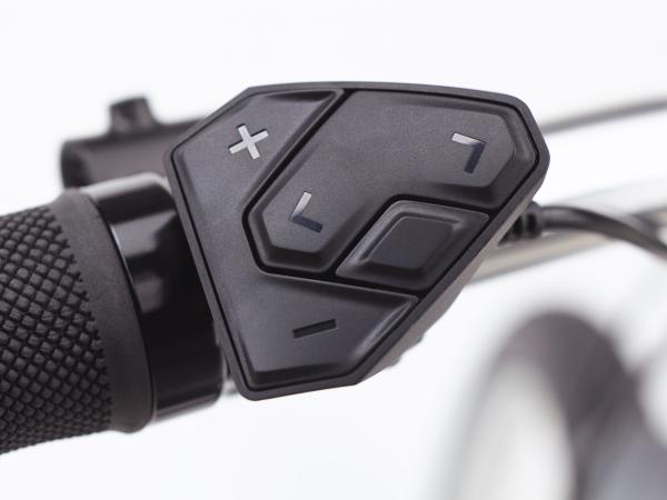 Electra Townie Path Go! 5i Step Thru EU M Matte Rosewood Produktbild 2