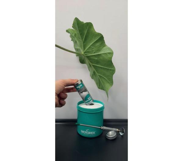 MOTOREX MOTOREX Schmiermittel WHITE GREASE 1x 100 g Dose Produktbild 2